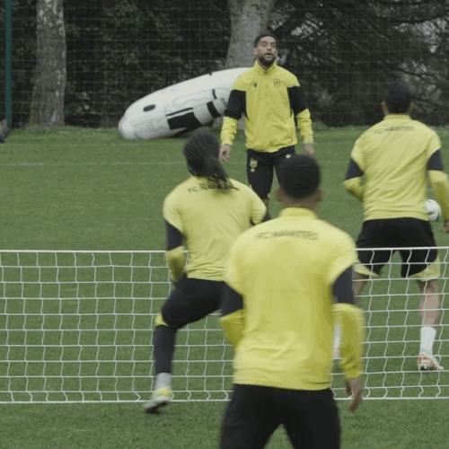 Synergie Portrait Team Manager